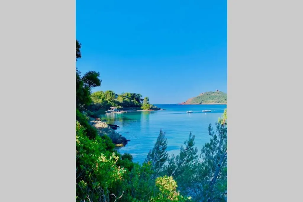 Apartment Superbe 4 Couchages Avec Terrasse - Clim - 50M De La Mer Saint-Raphael