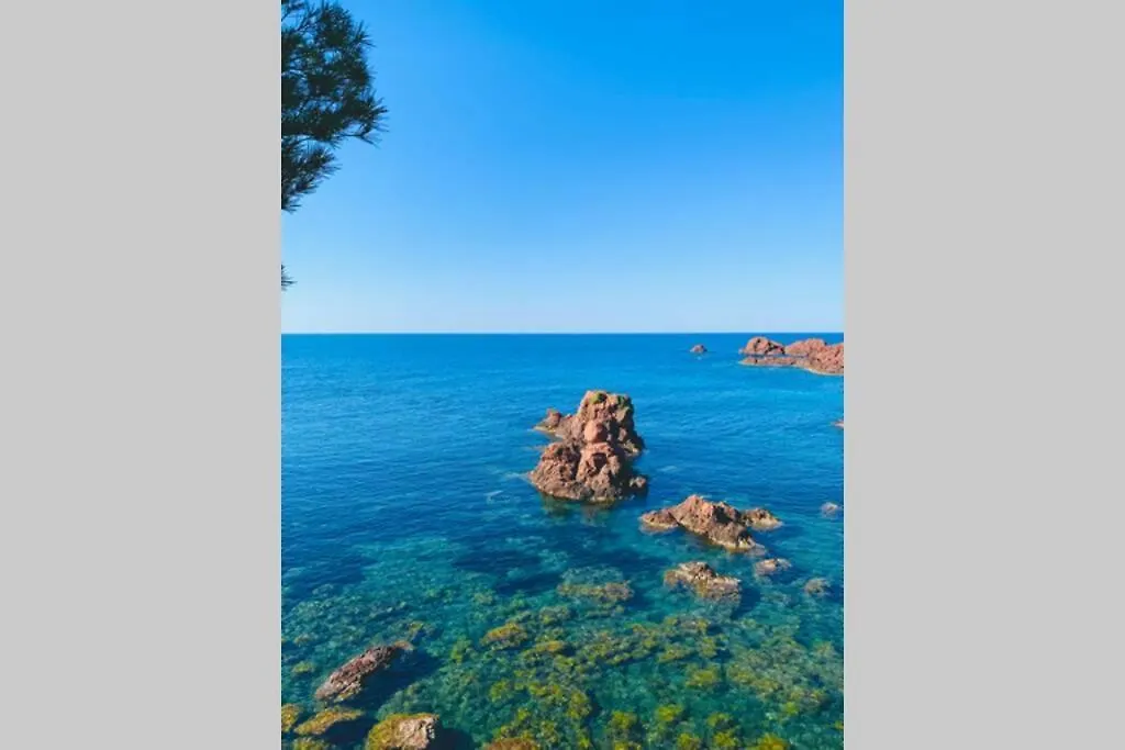 Superbe 4 Couchages Avec Terrasse - Clim - 50M De La Mer Saint-Raphael  France
