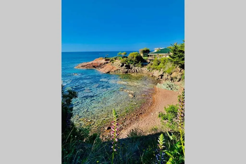 Apartment Superbe 4 Couchages Avec Terrasse - Clim - 50M De La Mer Saint-Raphael  France