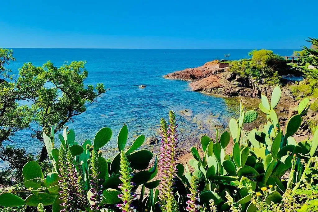 Superbe 4 Couchages Avec Terrasse - Clim - 50M De La Mer Saint-Raphael  France
